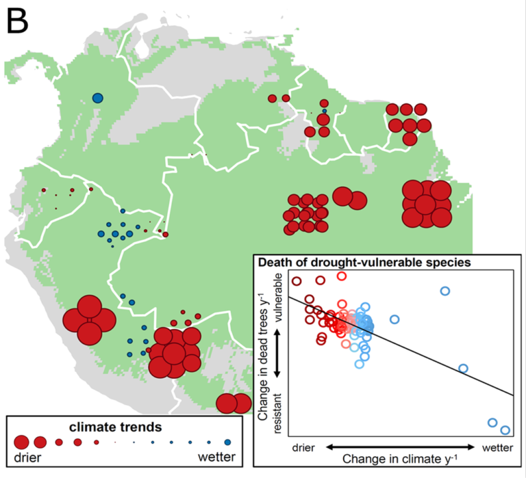 Hartmann Et Al 2022 Figure 1 - NGEE–Tropics