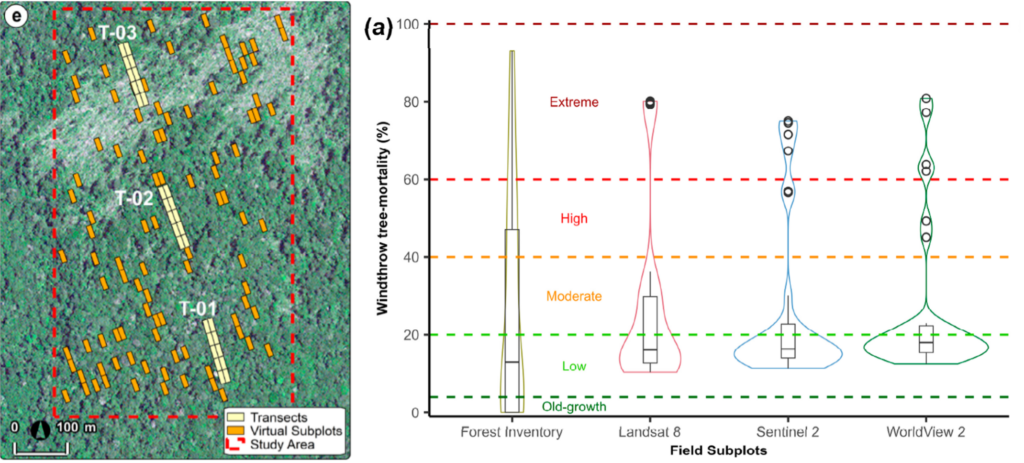 (left) Windthrown forest located near Manaus, Central Amazon, Brazil, and inventory and virtual plots used to quantify tree mortality. (Right) Distribution of windthrow tree mortality (%) from field subplots and satellite data with varying spatial resolution. 