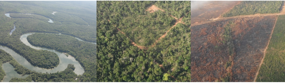 Examples of intact forests (left) and forests degraded by selective logging (middle) and fires (right) in the Amazon Forest. Forest degradation changes forest structure and the way the forest exchanges energy and water with the atmosphere. Photos by Ekena Rangel Pinagé.