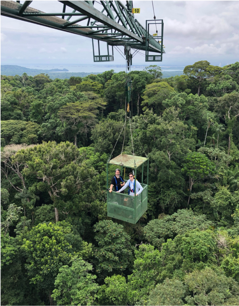 Image courtesy of Edwin Andrade.

Researchers used cranes to access tree crowns for measurements of pressure gradients within trees, which were used to assess the constriction of water flow within leaves. 